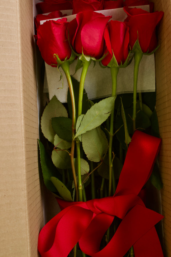 Rosas Caja
