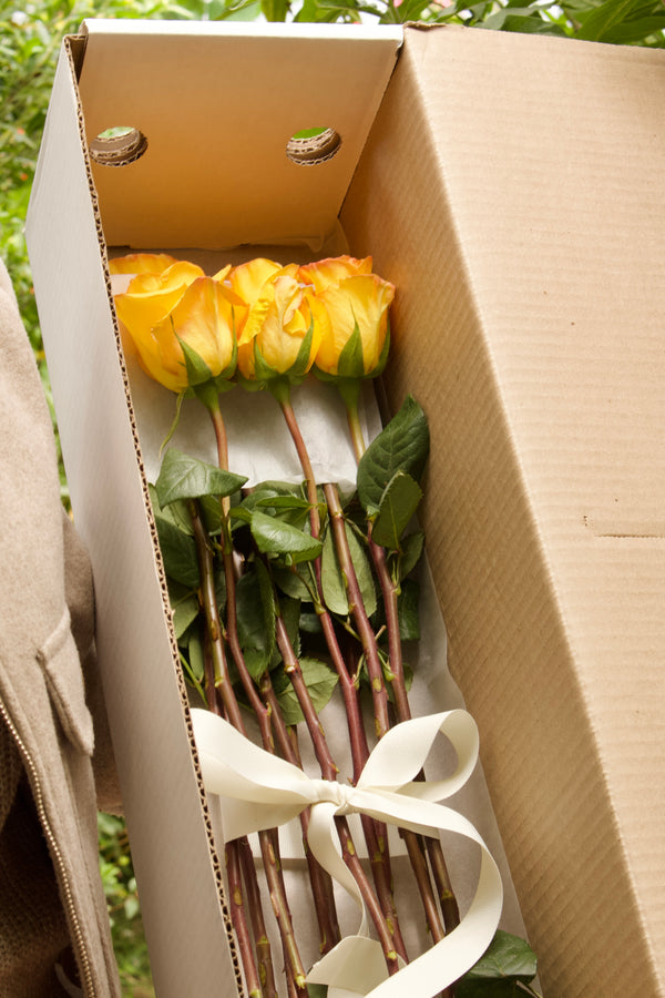 Flores Amarillas Caja x18