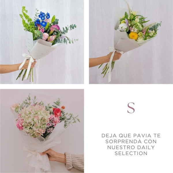 Daily Selection - Arreglos Florales Pavia Mercado de flores