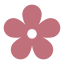 Flores seleccionadas