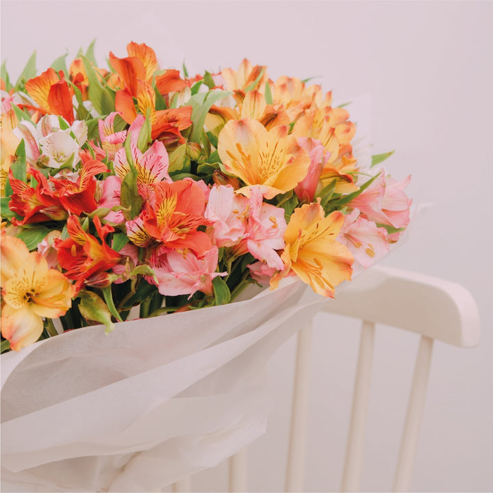 Astromelias Aquapack - Arreglos Florales Pavia