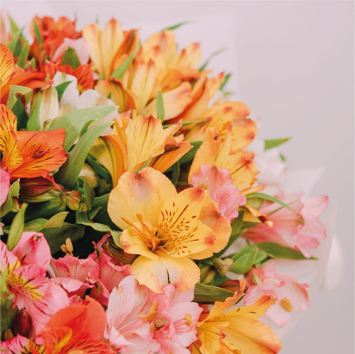 Astromelias Aquapack - Arreglos Florales Pavia